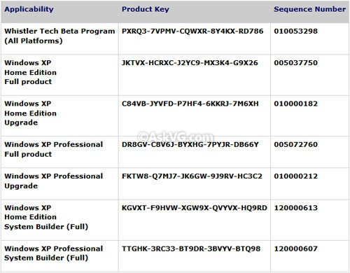 Windows_XP_Product_Keys_from_Micros.jpg