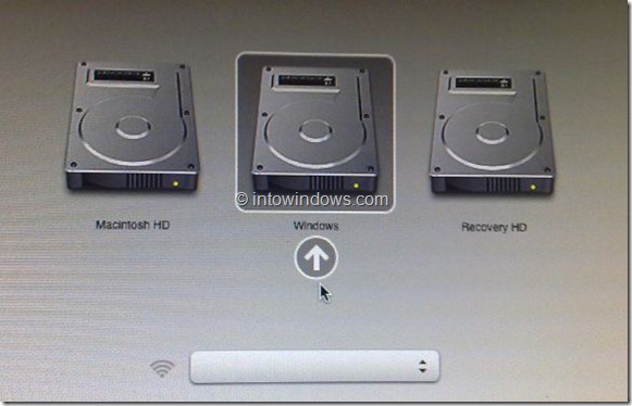 Mac Lion And Windows 8