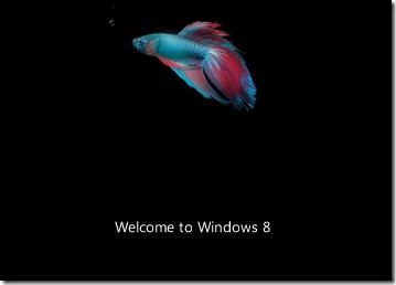 Windows 8 Boot Screen