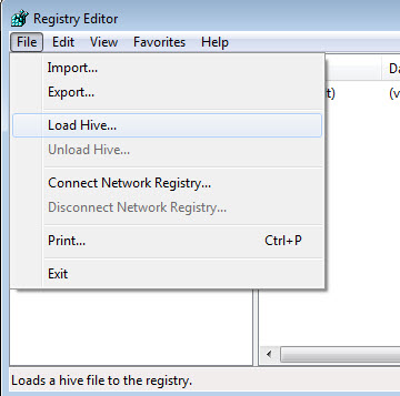 registry load hive