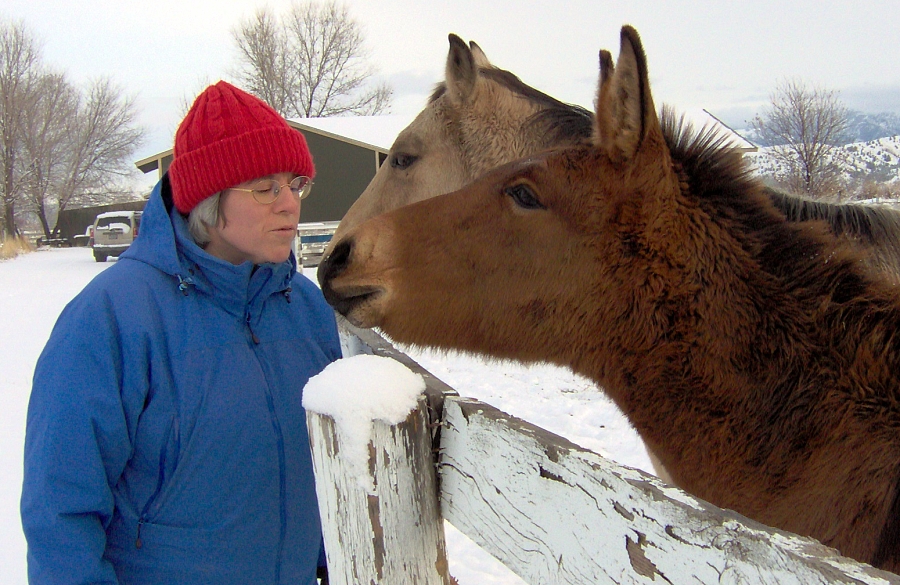 Figure 1: Snowy day on the farm.