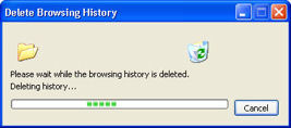 delete history animated window