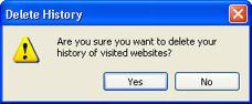 delete history confirmation window