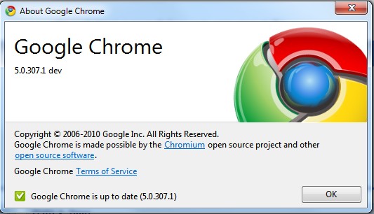 google chrome 5