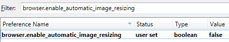 browser enable automatic image resizing