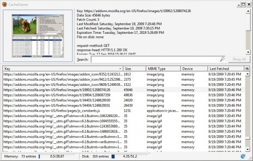 firefox cache viewer