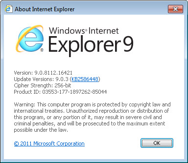 internet explorer 9