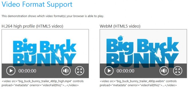 internet explorer video format support