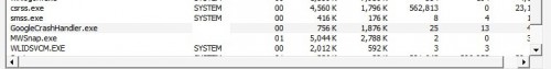 googlecrashhandler.exe