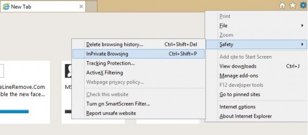 Internet Explorer Privacy Settings