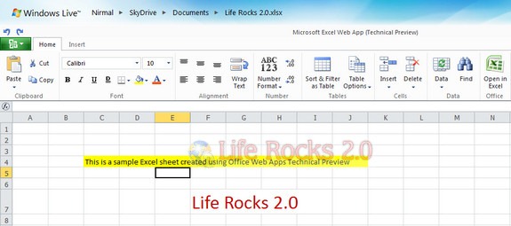 Excel Web Apps_1