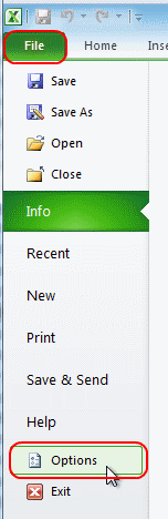 Excel 2010 Options selection