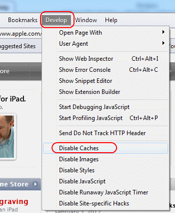 Apple Safari Disabled Caches option