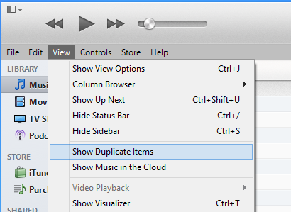 Show Duplicate Items in iTunes 11