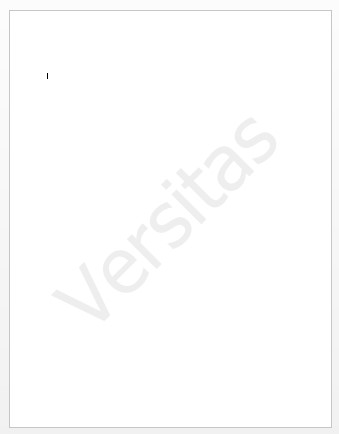 Versitas watermark