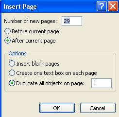 Insert page dialog box screenshot