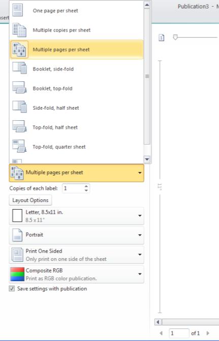 One sheet print dialog box screenshot