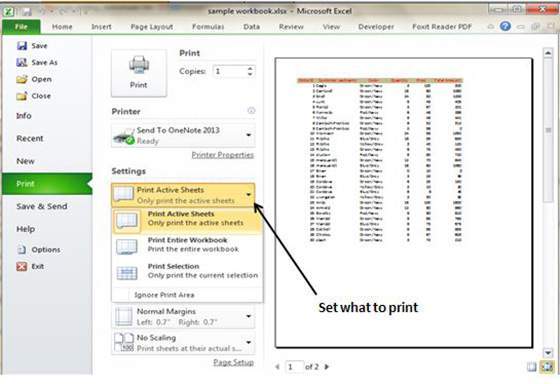 Setting what to print