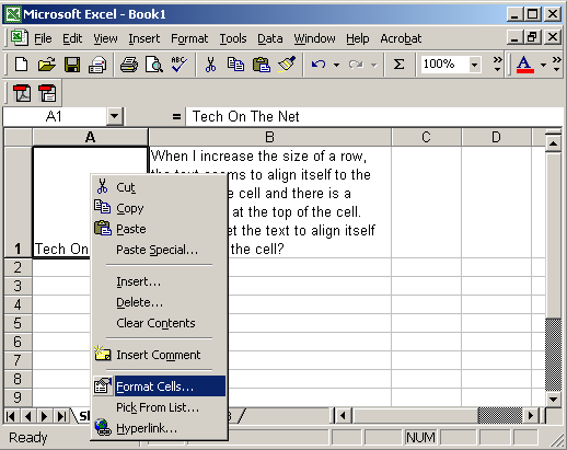 Microsoft Excel