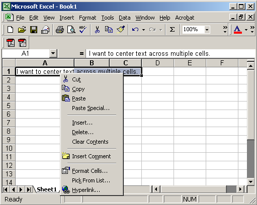 Microsoft Excel