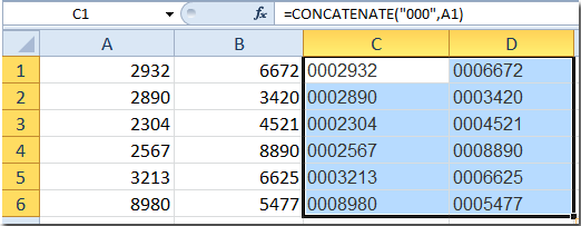 doc-add-leading-zeros5