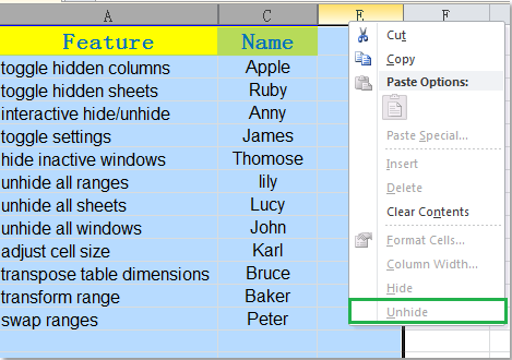 doc-protect-hidden-column8