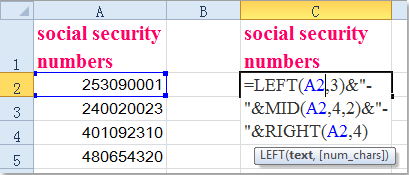 doc-add-dashes-to-ssn1