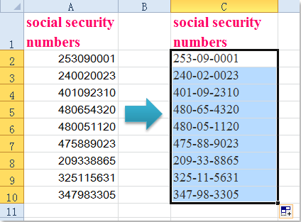 doc-add-dashes-to-ssn1