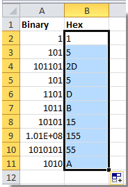 doc-hex-to-binary-2