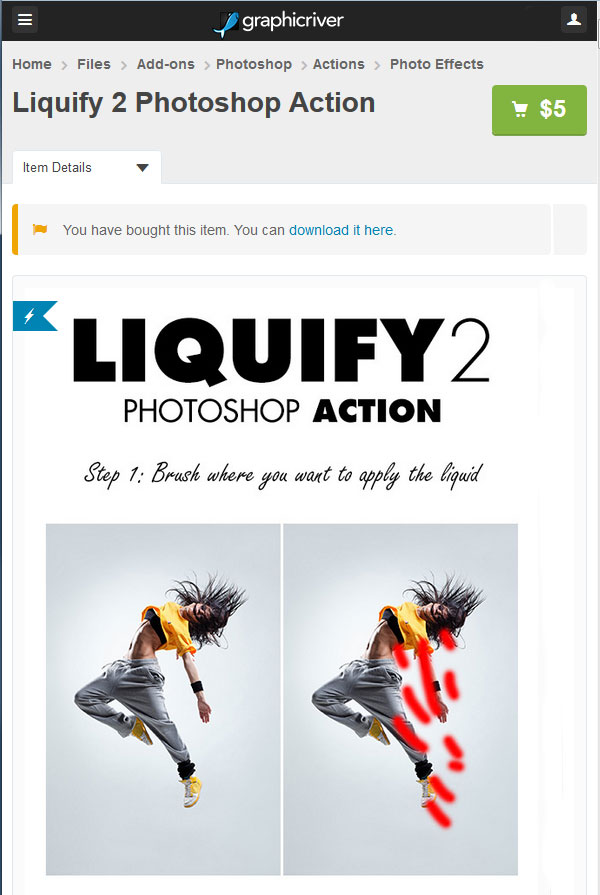 Purchase and download the Photoshop Action