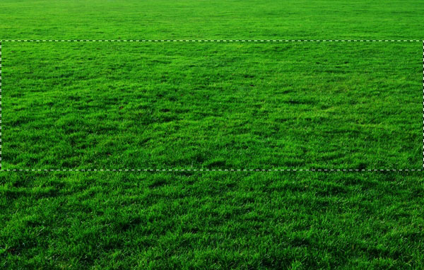 select grass