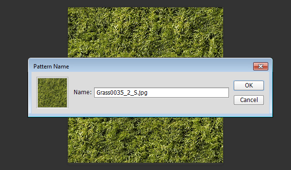 Define Grass Pattern