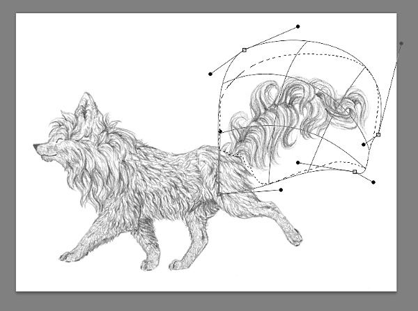 how to change shape traditional drawing 