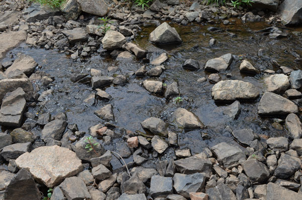 The little rocky stream we have passed by on so many occasions