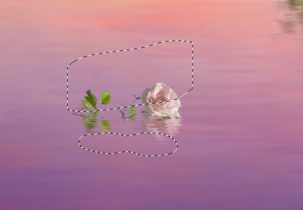 big rose reflection masking