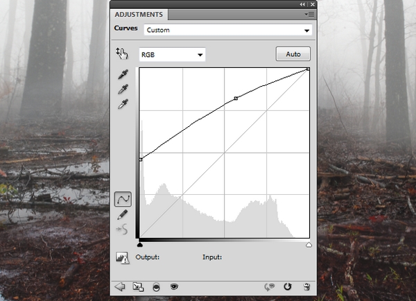 forest curves