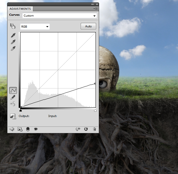 roots curves