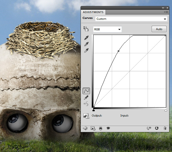 nest curves