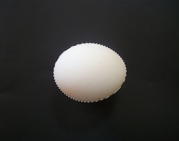 select egg