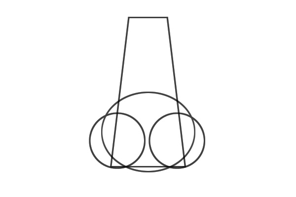 Basic structure of the nose