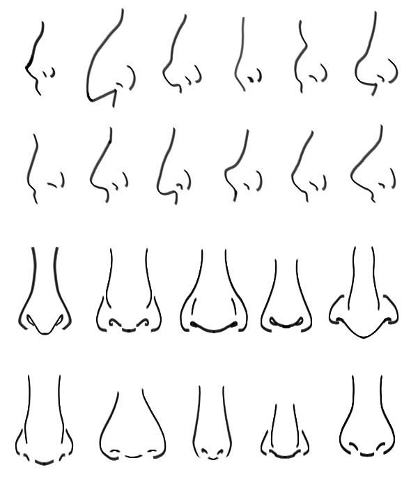 Various nose shapes sketches tutorial