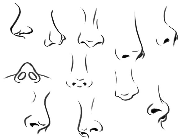 Various nose angles sketches tutorial