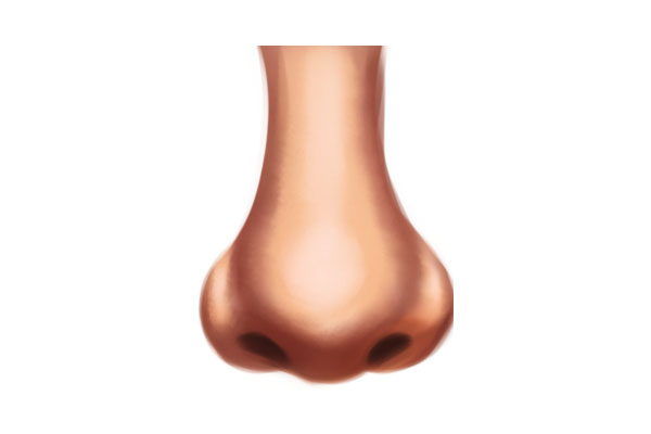 Draw the base of the nostrils