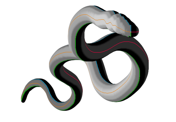 perspective photoshop 3d neck dragon tail snake 5