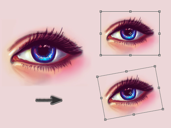 Scale and Rotate with Lasso Tools and Free Transform