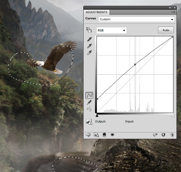 eagles 1 curves