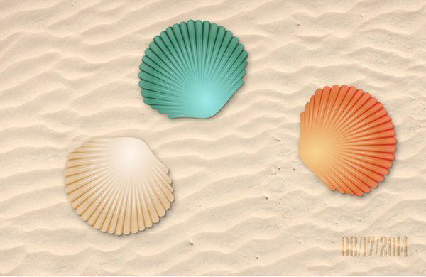 Sonnetmcrs seashell illustration