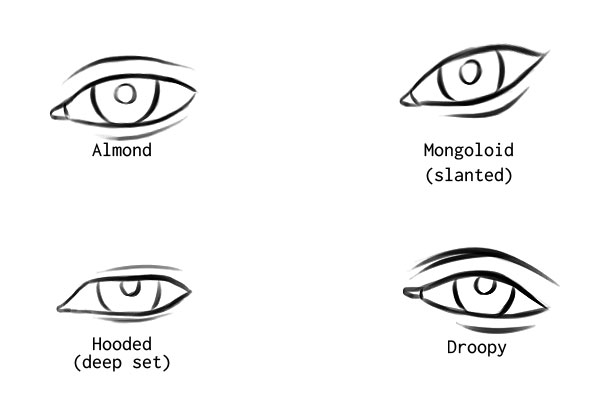 different eye shapes almond mongoloid hooded droopy