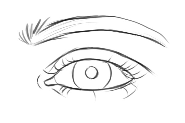 Eye shape