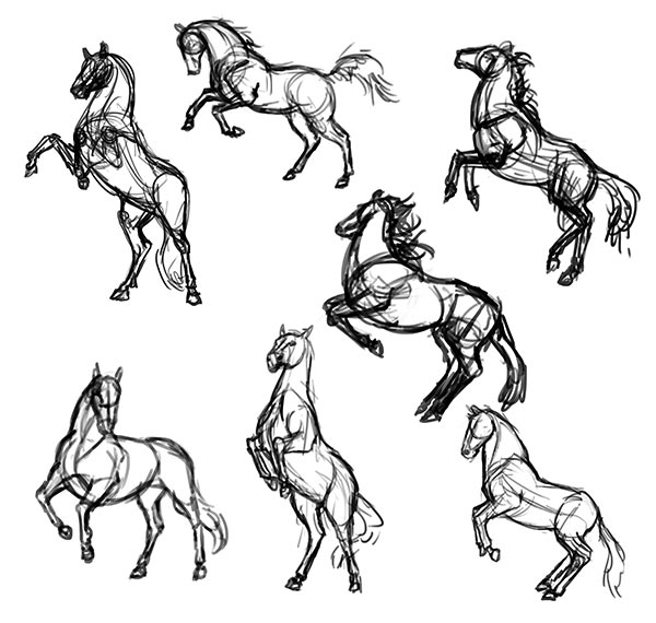 how to draw horse reference